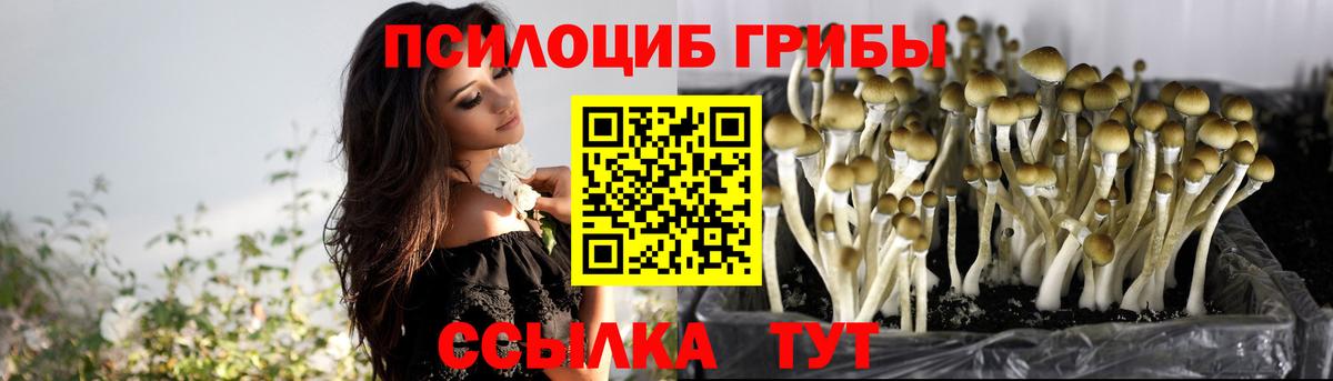 Псилоцибиновые грибы Psilocybine cubensis  Вход с VPN  Галлюциногенные грибы GOLDEN TEACHER  Куйбышев 